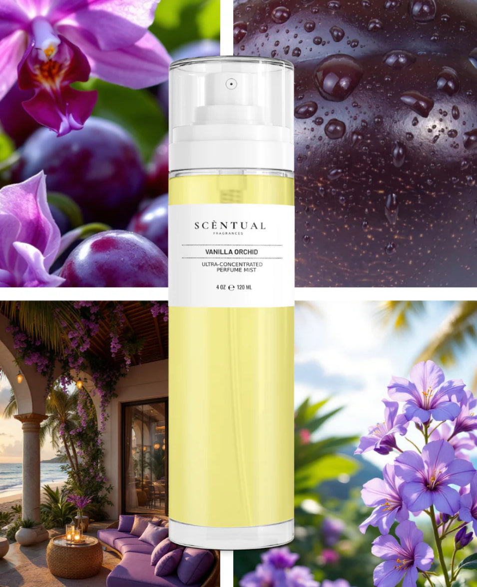 Scentual Fragrances – Ultra-Concentrated Perfume Mist (1 oz / 4 oz / 10 ml)