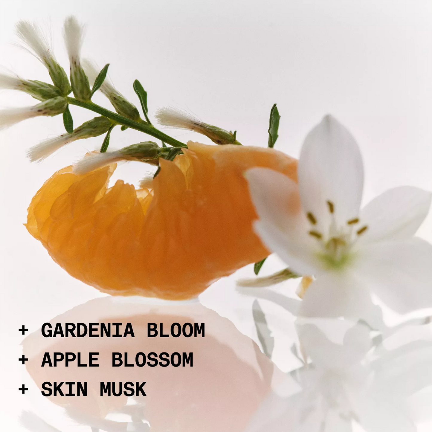 NOYZ – Mylk de Parfum