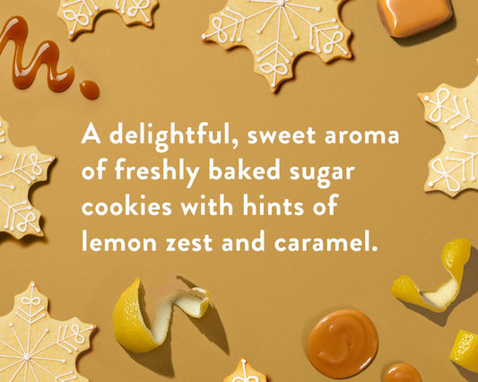 Native Body Wash – Sugar Cookie (18 fl oz)