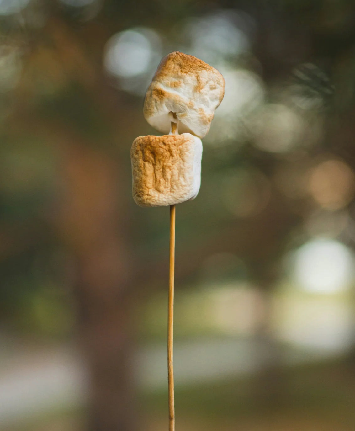 Sand & Fog –Toasted Marshmallow 50 ml Perfume Oil Dropper