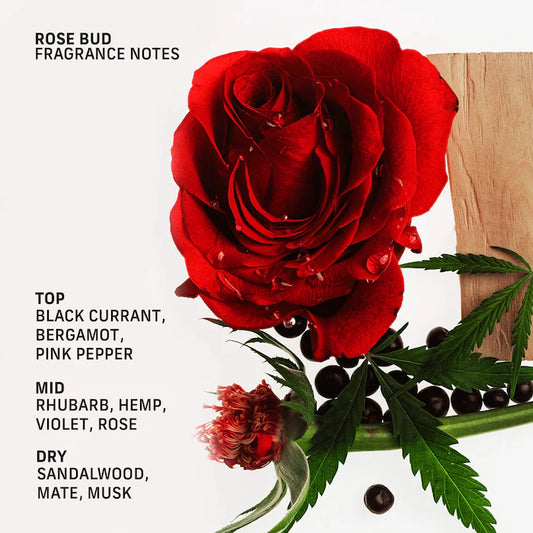 Cyklar – Rose Bud Nutrient-Rich Body Cream