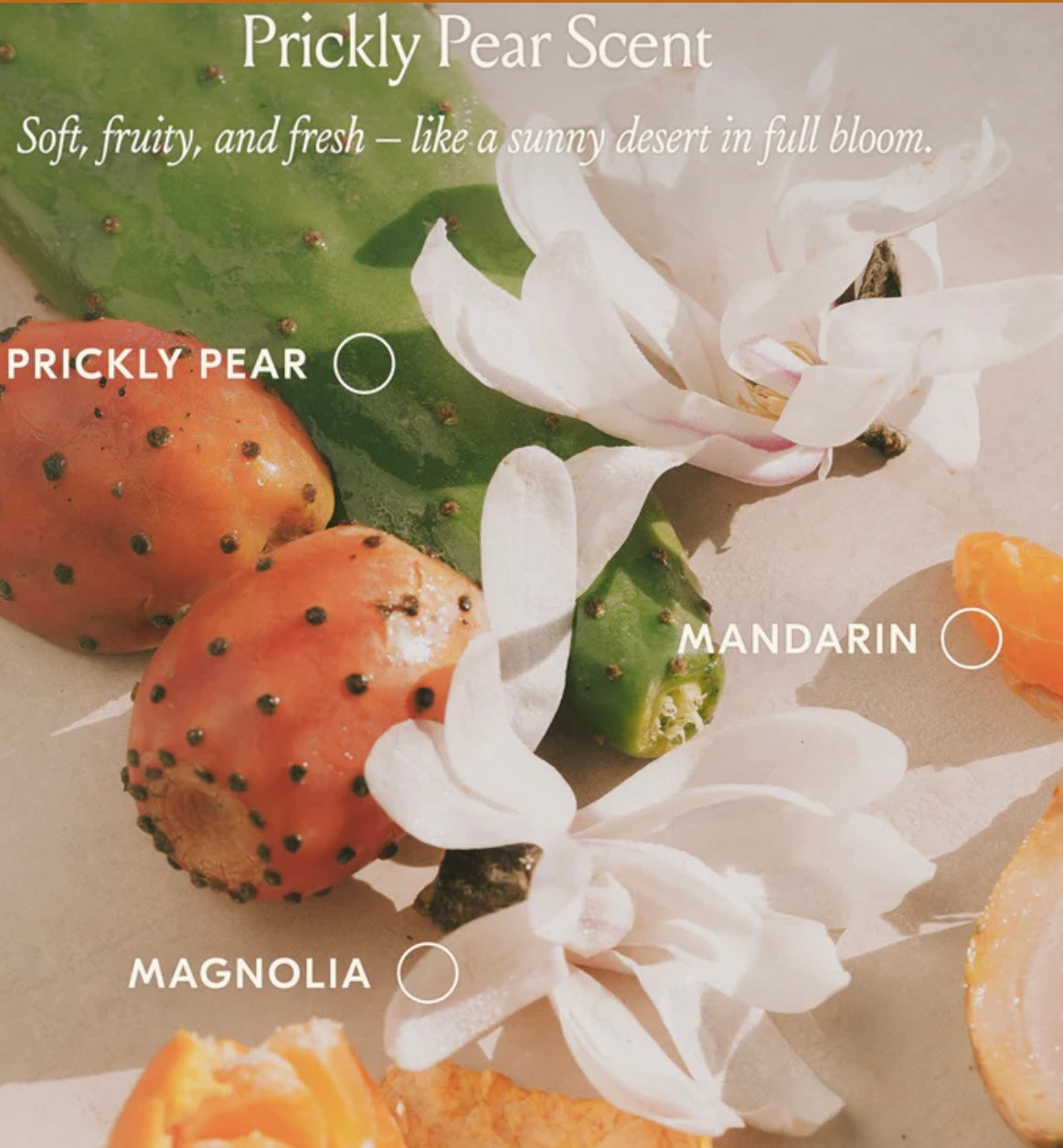 DAE Prickly Pear Hair Oil – Full Size