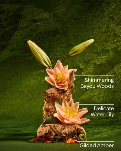 Bath & Body Works – Disney Princess Tiana Collection