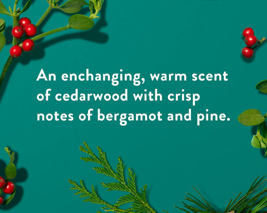 Native Body Wash – Fresh Mistletoe (18 fl oz)