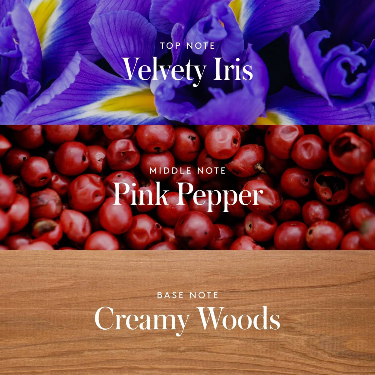 Athena Club – Skin Perfecting Body Lotion (16 fl oz)