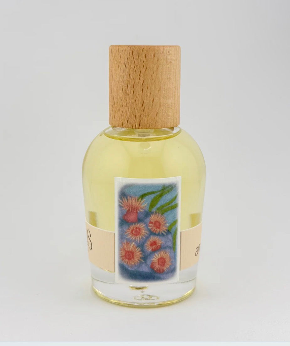 CIRRUS PARFUM – Sea Anemone Eau de Parfum