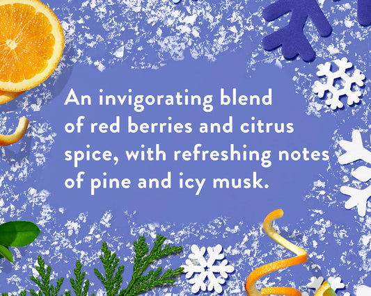 Native Body Wash – Alpine Air (18 fl oz)