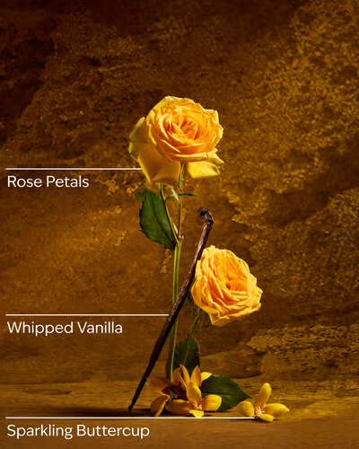 Bath & Body Works – Disney Princess Belle Collection