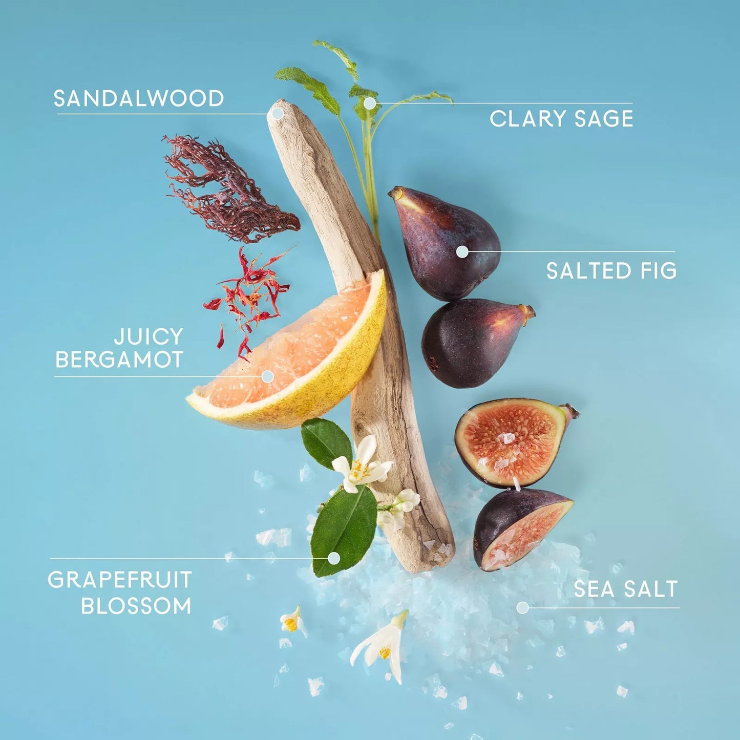 Lake & Skye – 333 Sheer Fig + Salt Hair & Body Mist (100 ml)