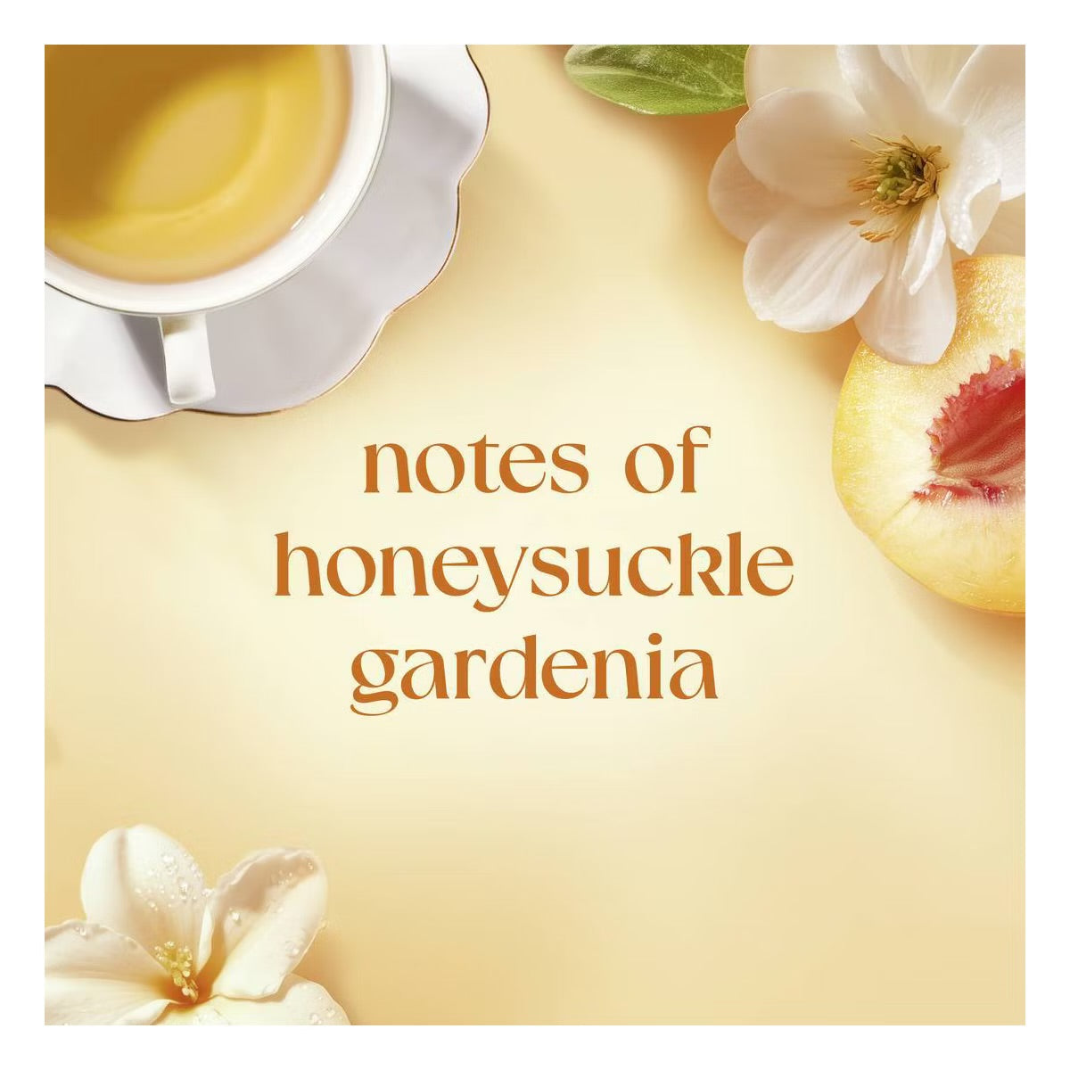 Dove Garden Tea Party Body Wash – Honeysuckle Gardenia (Limited Edition)