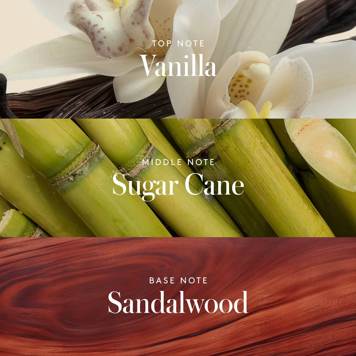 Athena Club – Skin Perfecting Body Lotion (16 fl oz)