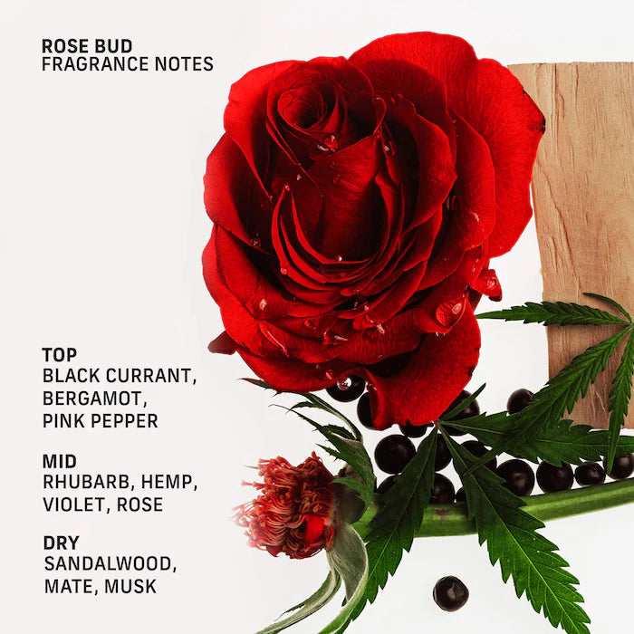 Cyklar – Rose Bud Nutrient-Rich Body Cream