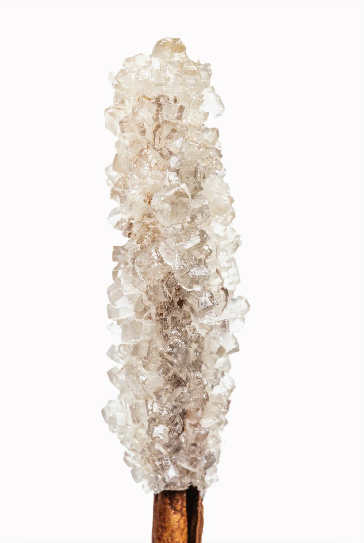 Sand + Fog Vanilla Sugar Perfume Oil (50ml Dropper)