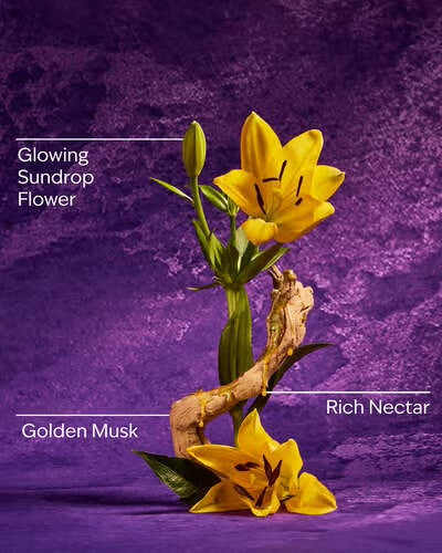 Bath & Body Works – Disney Princess Rapunzel Collection