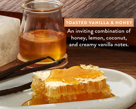 Native Body Wash – Toasted Vanilla & Honey (18 fl oz)