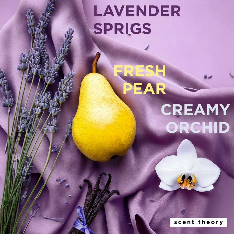 Scent Theory – Wrapped Collection Body Lotions