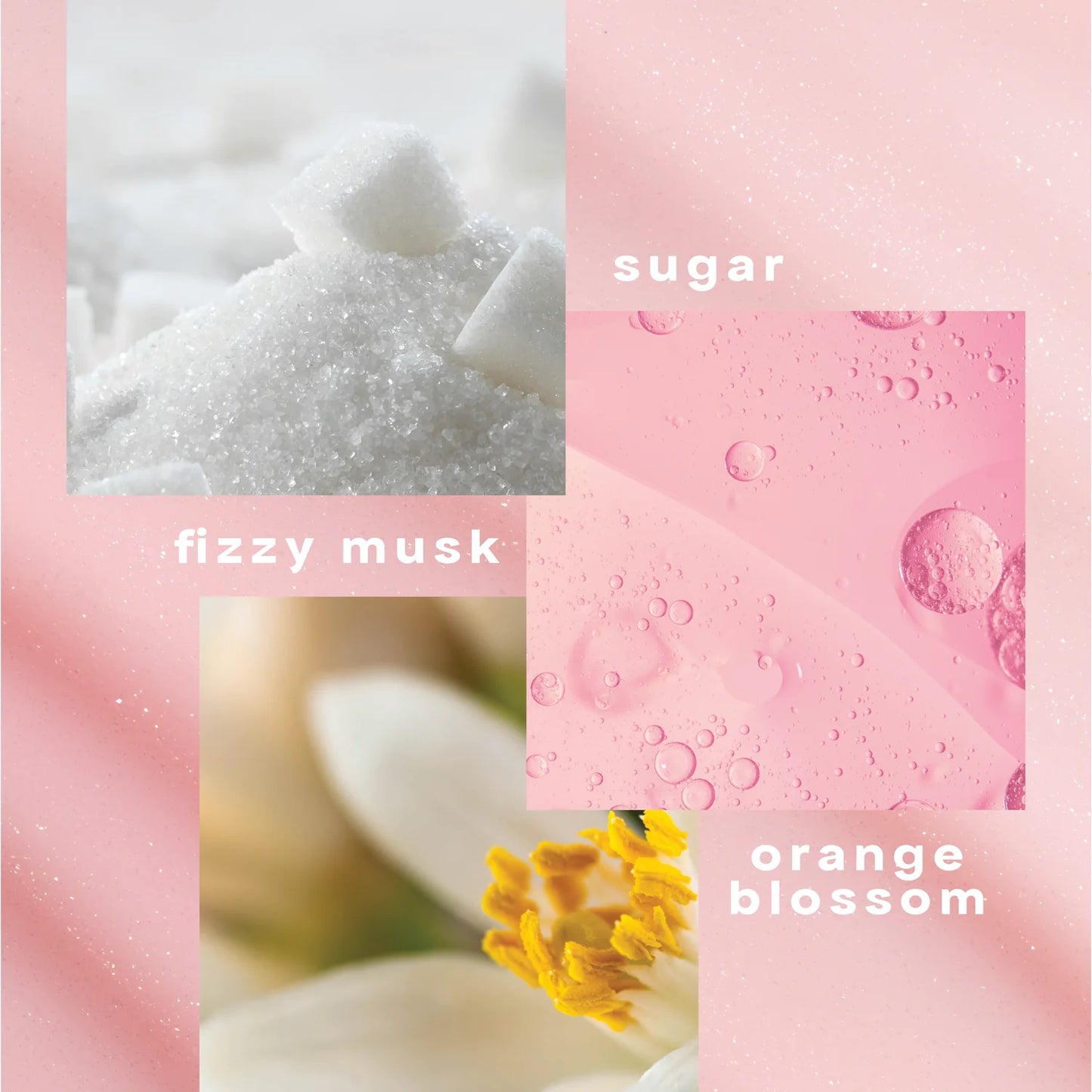 CLEAN CLASSIC – Sugar-Coated Eau de Parfum