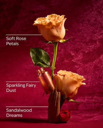 Bath & Body Works – Disney Princess Aurora Collection