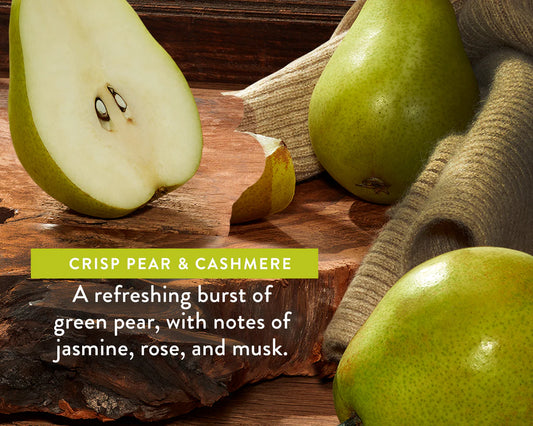 Native Moisturizing Lotion – Crisp Pear & Cashmere (16.5 fl oz)