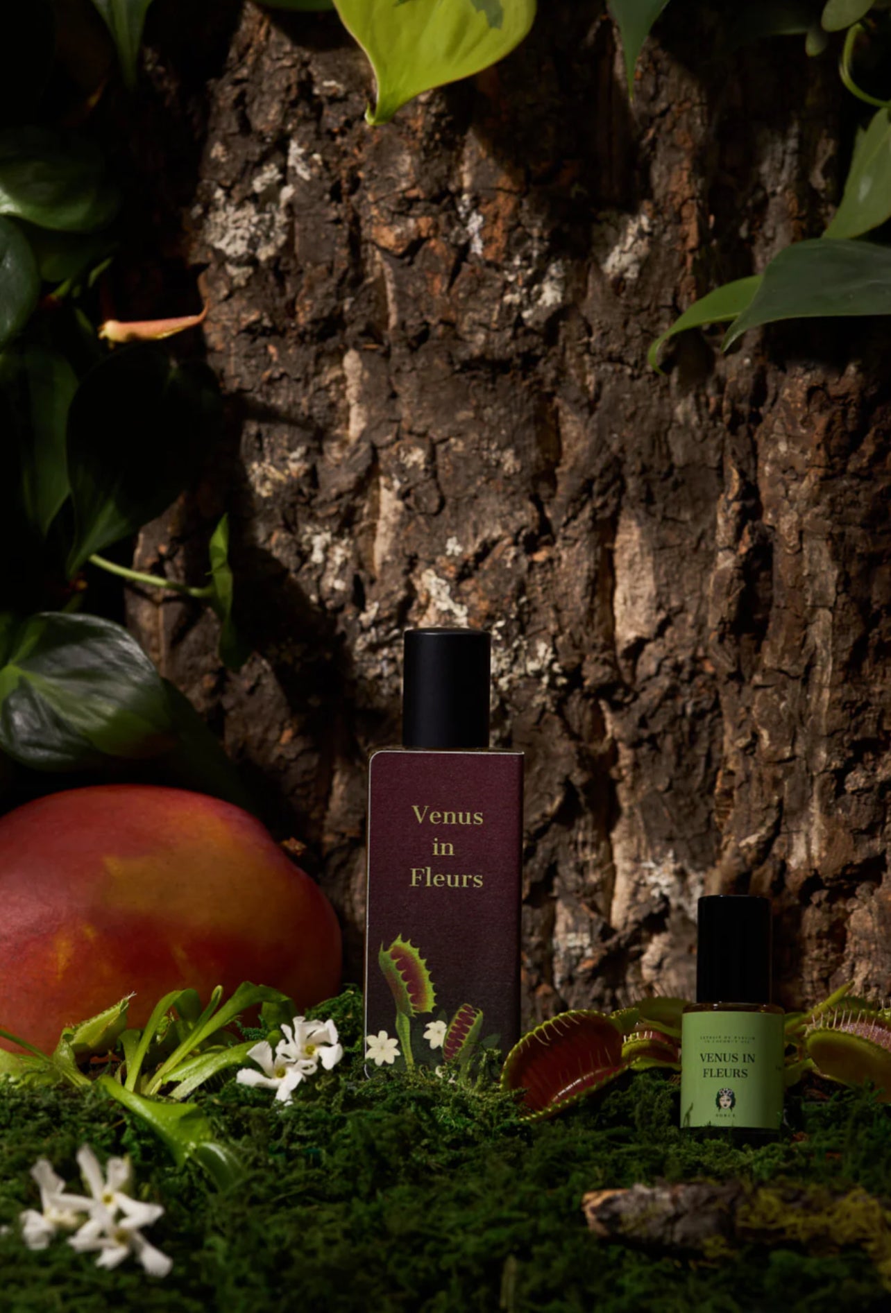 SORCE – Venus in Fleurs Extrait de Parfum