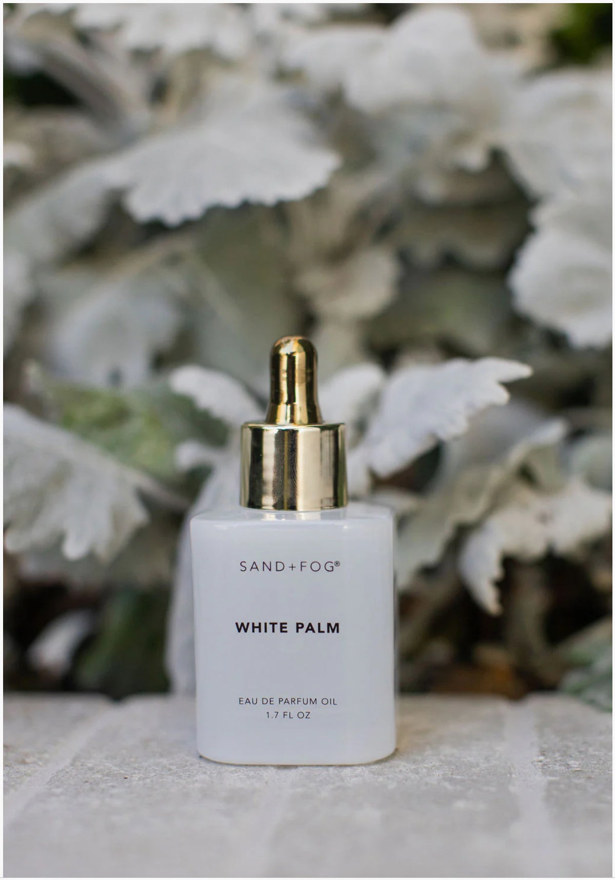 Sand + Fog White Palm Perfume Oil (50ml Dropper)
