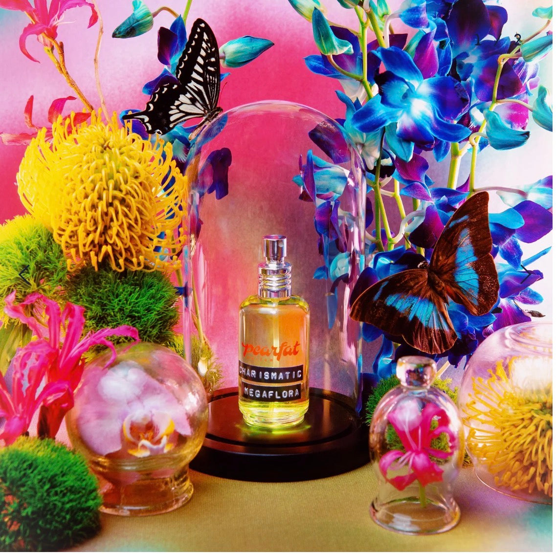 Pearfat Parfum – Eau de Parfum Collection 50ml