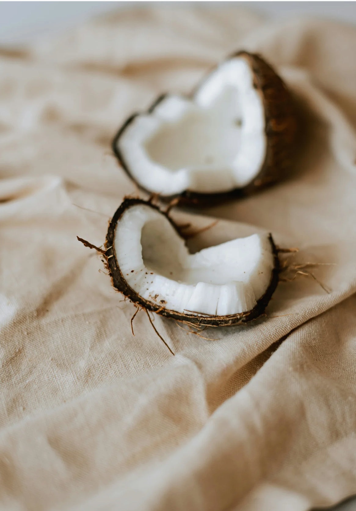 Sand + Fog Coconut Cremé Perfume Oil (50ml Dropper)