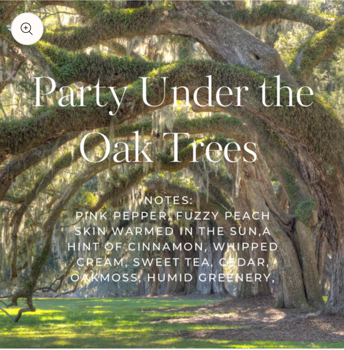 Sorce – Party Under the Oak Trees Extrait (Special Order)