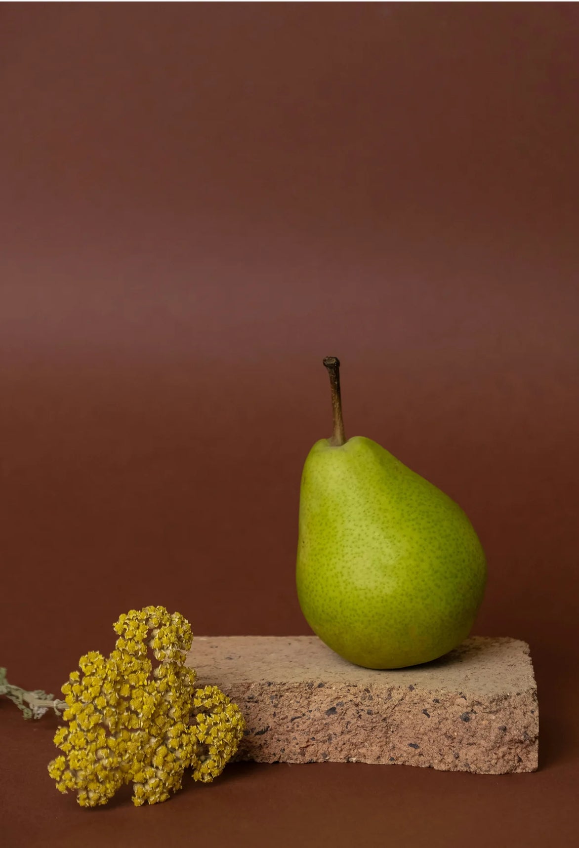 Sand + Fog Pear Blossom Perfume Oil (50ml Dropper)