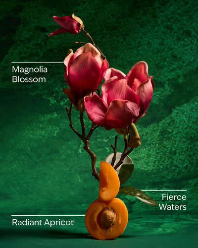 Bath & Body Works – Disney Princess Mulan Collection