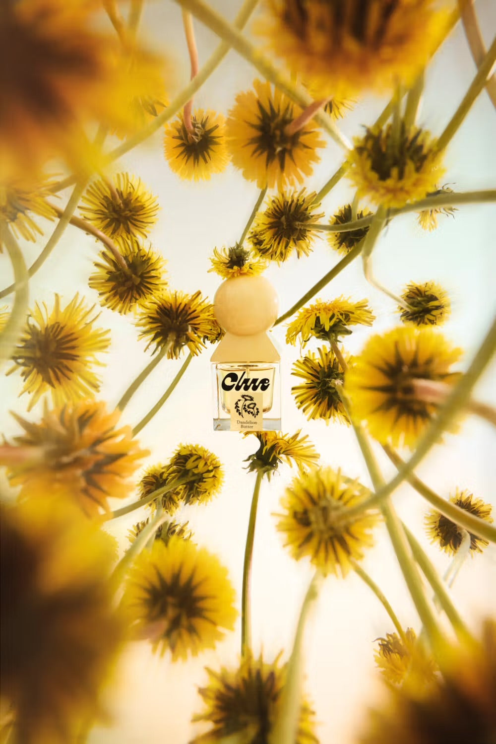 CLUE PERFUMERY – DANDELION BUTTER Eau de Parfum 30 ml