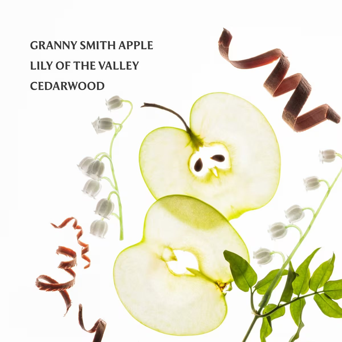 Touchland – Power Mist Hydrating Hand Sanitizer