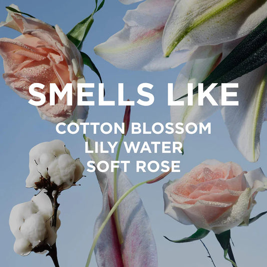 By Rosie Jane – WHITE TEE Body + Hair Perfume Mist with Rose (3.4 fl oz)