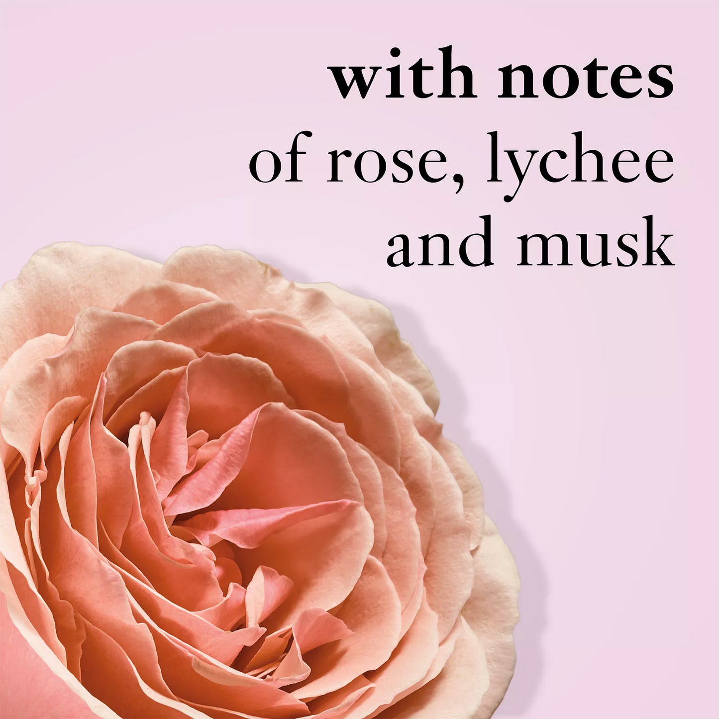 Philosophy – Amazing Grace Ballet Rose Eau de Parfum 2.0 oz