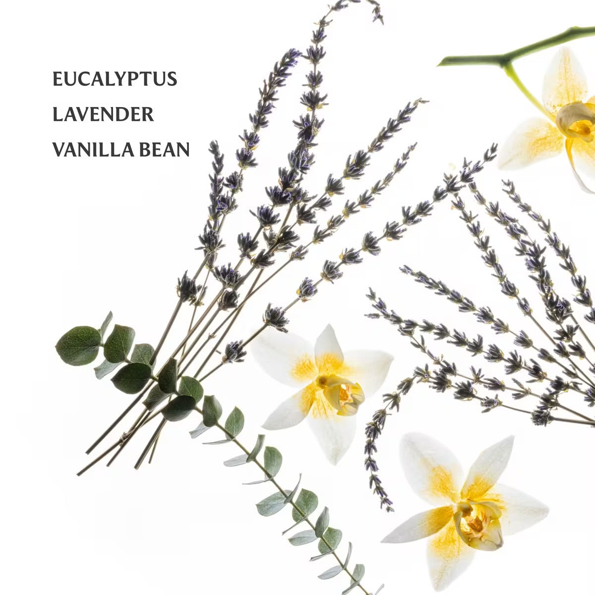 Touchland – Power Mist Hydrating Hand Sanitizer