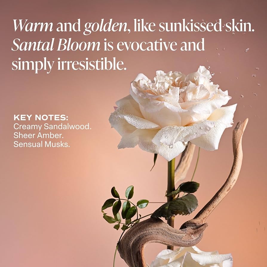Saltair Santal Bloom Multi-Lipid Body Butter